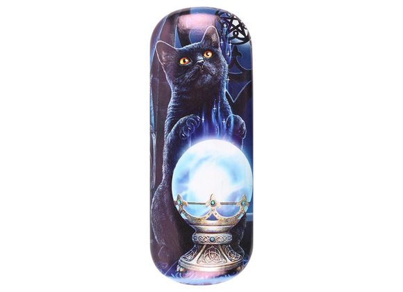 Witches Apprentice Glasses Case by Lisa Parker