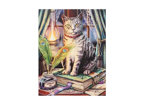 19x25cm Book of Shadow Canvas Plaque by Lisa Parker 