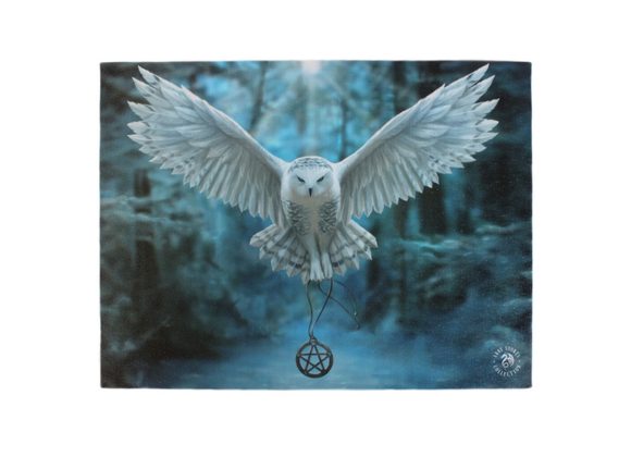 25x19cm Awake Your Magic Canvas Plaque by Anne Stokes