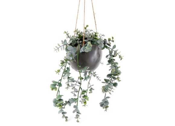 75cm Hanging Faux Eucalyptus Plant