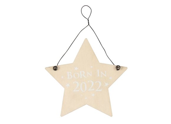 Born in 2022 Wooden Hanging Sign 