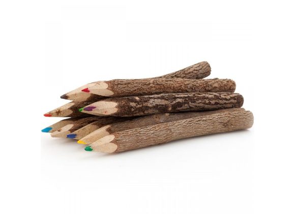 Bundle of 10 Twig Pencils