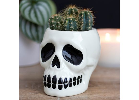 Ceramic Skull Plant Pot STOCK DUE 11/11/21