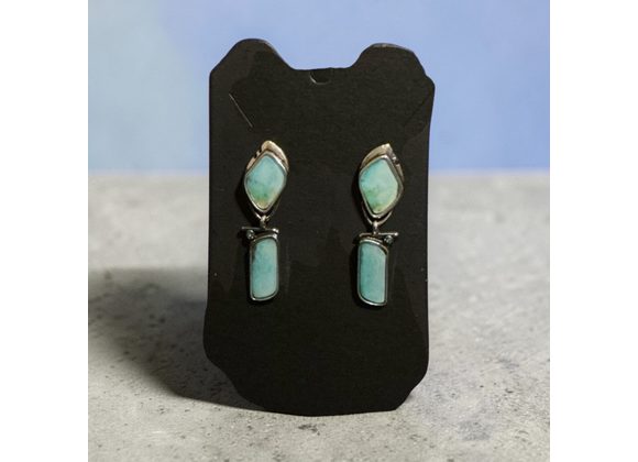 Beautiful Drop Earrings