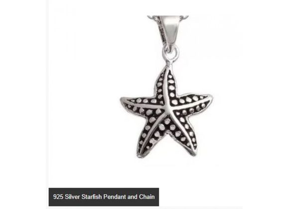 925 Silver Starfish Pendant and Chain