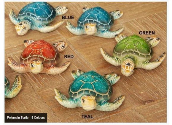 Turtle - 4 Colours