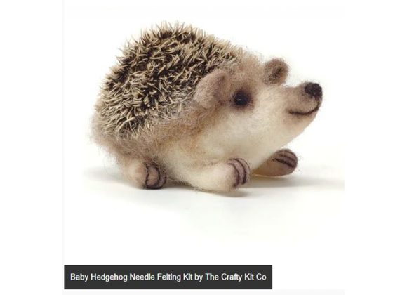Baby Hedgehog Needle Felting Kit by The Crafty Kit Co