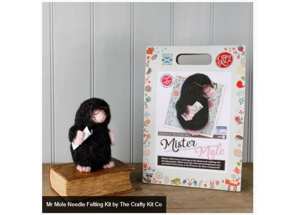 Mr Mole Needle Felting Kit by The Crafty Kit Co