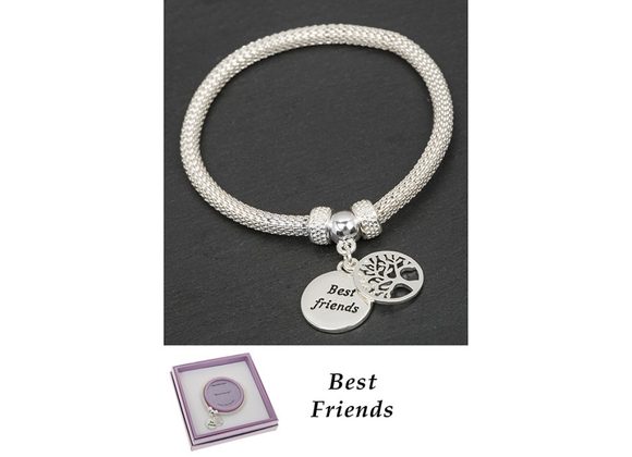 Friends Silver Plated Mesh Tree of Life Bracelet by Equilibrium