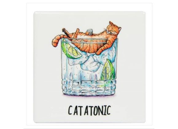 Catatonic - Bewilderbeest Coaster