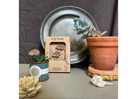 Hedgehogs Plant Pot Companions by Lily Faith