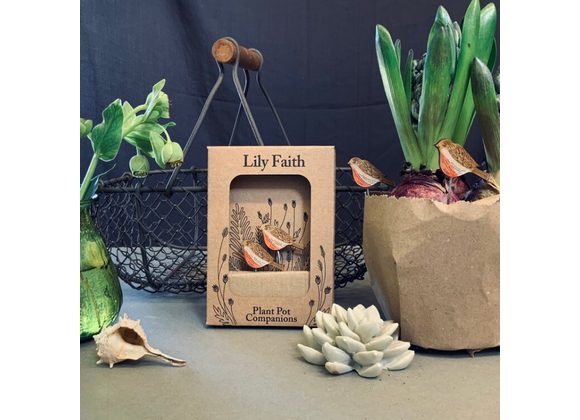 Robins Plant Pot Companions by Lily Faith