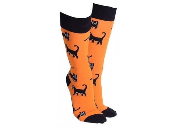 Black Cats Socks by Sock Society - ORANGE