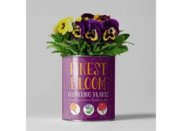 Finest Bloom Grow Kit by The The Plant Gift Co