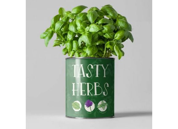 Tasty Herbs Grow Kit by The The Plant Gift Co