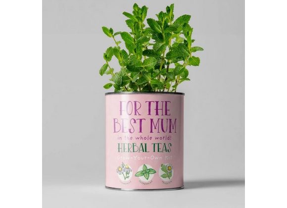 Best Mum Grow your own Herbal Tea Kit by The The Plant Gift Co