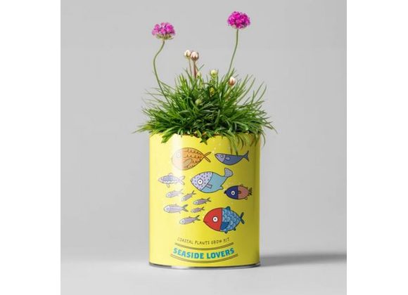 Seaside Coastal Flowers Grow Kit by The The Plant Gift Co