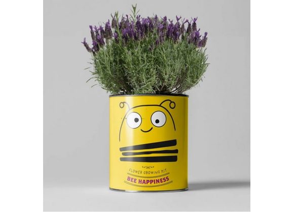 Bee Happiness Grow Kit by The The Plant Gift Co