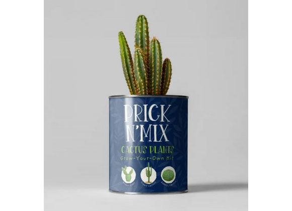 Prick N' Mix Cacti Grow Kit  by The The Plant Gift Co