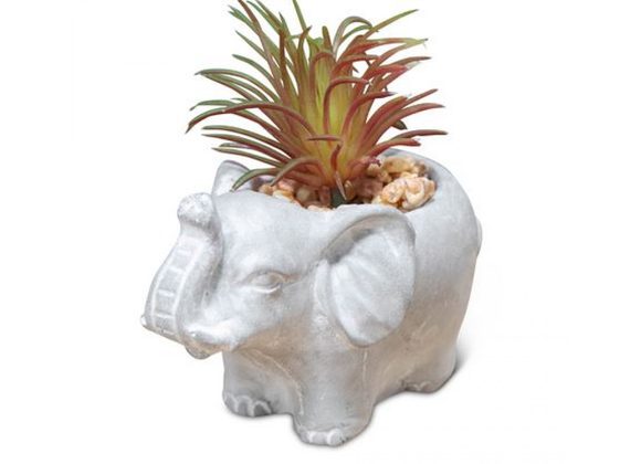 Small Cement Effect Elephant Planter with Succulent