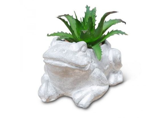 Small Cement Effect Frog Planter with Succulent