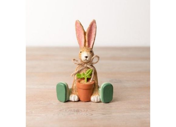 Bunny sitting with Flower Pot