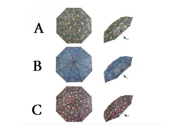 Floral Print Folding Umbrella