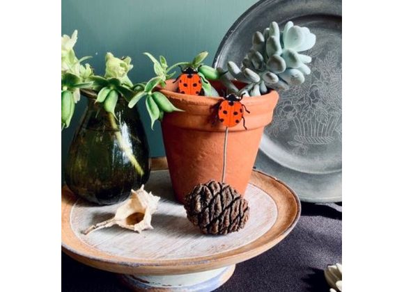 Ladybird Plant Pot Companions by Lily Faith