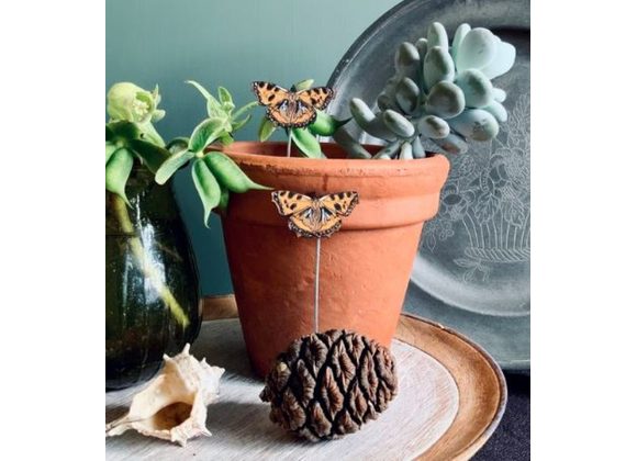 Butterfly Plant Pot Companions by Lily Faith