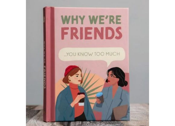 Why We're Friends - You Know Too Much Book