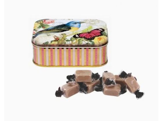 Bird & Butterfly Tin with Fudge