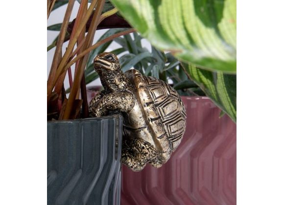 Tortoise - Plant Pot Pal
