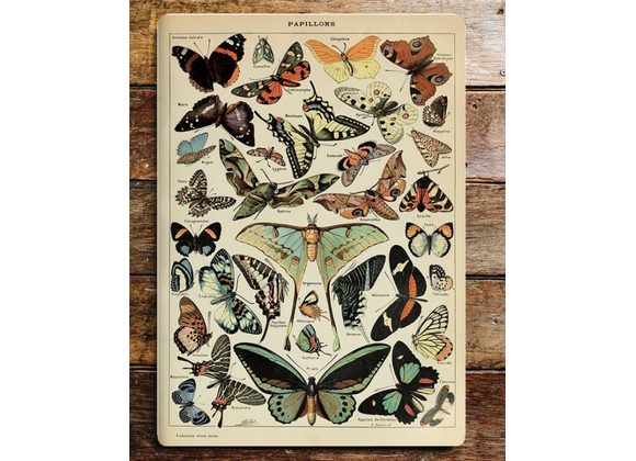 Butterflies Metal Sign - 6