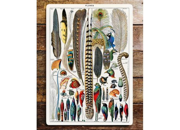 Bird Feathers Metal Sign - 6