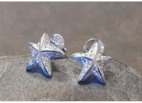 925 Silver & CZ small Stud Earrings