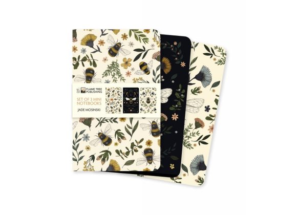 Jade Mosinski Set of 3 Mini Notebooks by Flame Tree