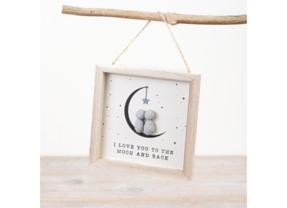 I love you to the Moon, Plaque