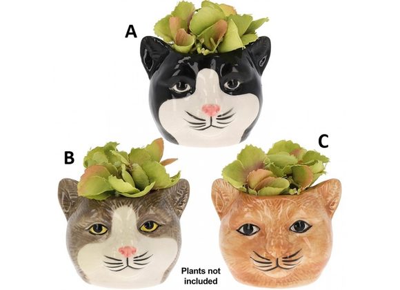 Moggy Mini Planters (3 Designs)