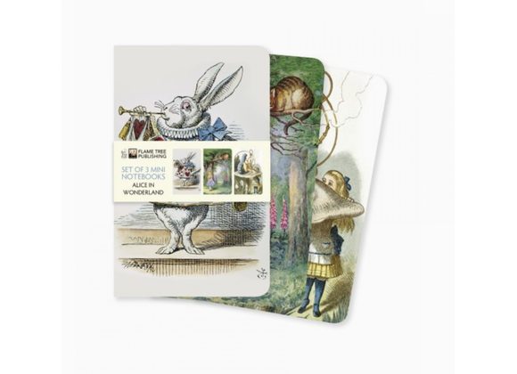 Alice in Wonderland Set of 3 Mini Notebooks