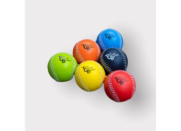 TOTAL CONTROL SPORTS  LEATHER 6 PACK WEIGHTED TRAINING BALLS  