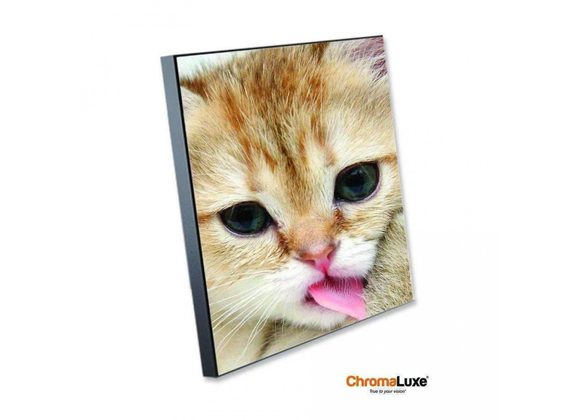Photo Wall Panel