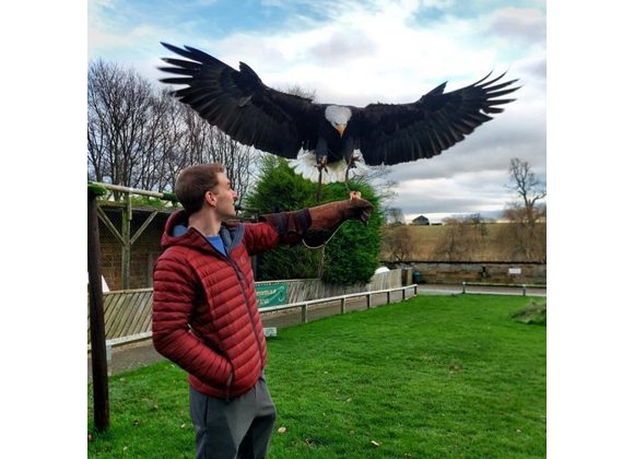 Full Day Birds of Prey Experience